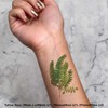 4 x 'Adiantum Plant' Temporary Tattoos - Water Resistant, Skin-Safe,