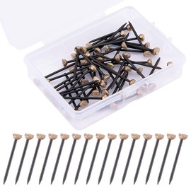 Picture Pins, 60PCS Picture Nails Pins for Hanging Pictures Brass Head Wall Masonry Nails Hook with Plastic Storage Box for Hanging Photo Frame
