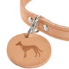 HUNTER Aalborg Dog Collar, Colour: Orange, Robust and Durable Leather,