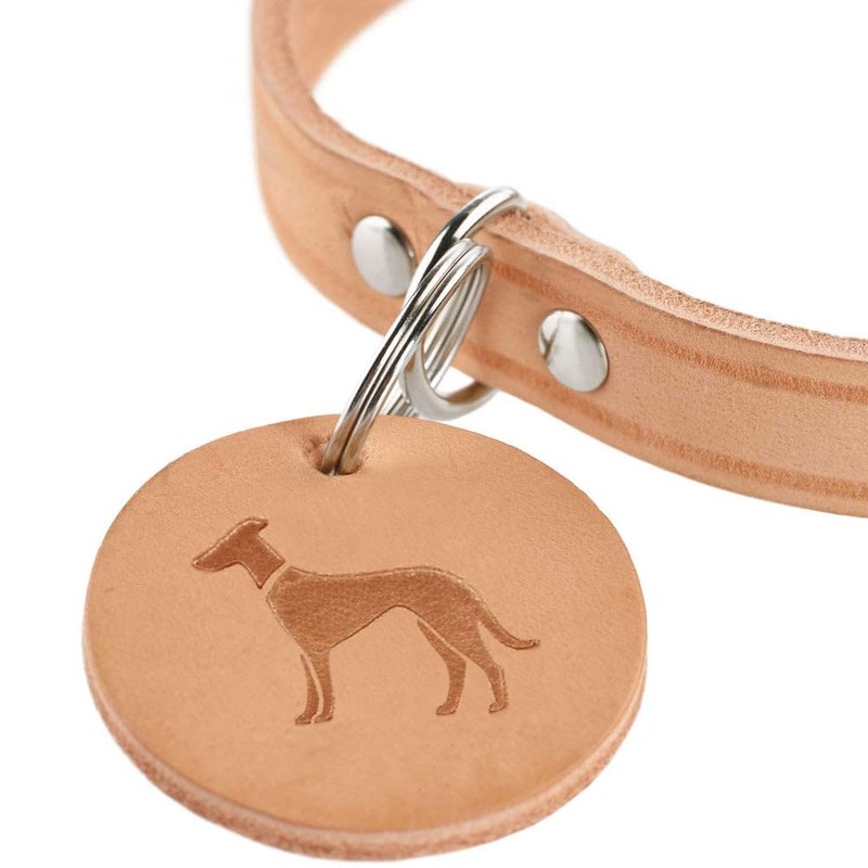 HUNTER Aalborg Dog Collar, Colour: Orange, Robust and Durable Leather,