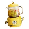 Health Pot Stainless Steel Glass Multifunctional Mini Electric Tea Maker