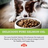 Canine Ketchup Pure Scottish Salmon Oil for Dogs UK -