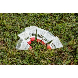 Triumph Sports Regulation Weighted Shuttlecocks - 6-Pack, White (35-7138-2)