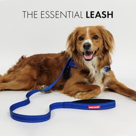 EzyDog Essential Lead | Training Lead, Small Dogs, Medium Dogs, Large Dogs, Sturdy Dog Lead, Comfortable Padded Handle, Reflective Thread, 1.2M Lead (Blue)