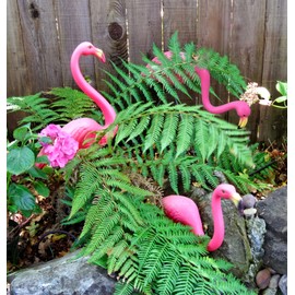 GiftExpress - Decoraciones de patio de flamencos rosados, paquete de 2 estatuas pequeñas de plástico de 14 pulgadas de alto con estacas de metal, adornos de césped y decoración de jardín para fiestas