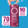 IZZE Sparkling Water Juice Beverage Blend, Blackberry, No Sugar Added,