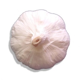 Fresh Organic GARLIC bulbs 10lbs • 5 VARIETIES Chesnok Music Italian German Russian - 10 lbs Organic Music