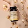 Primabiotic Omega 3 – High Strength Fish Oil Capsules |
