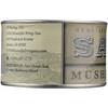 Beautiful Briny Sea, Salt Mushroom Sea, 4 Ounce