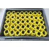 GORILLA JAW GorillaJaw™ DOT1 Barbell Clamps 1 inch (25mm) Quick