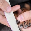 12 PCS Professional Nail Files 100/180 Grit, Four of Each,