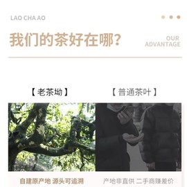 Pu-erh tea,2016,景邁 Jingmai,357g.Raw