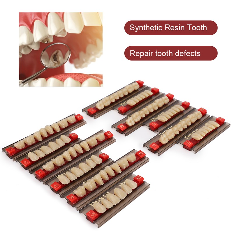 Dental Synthetic Resin False Teeth Dental Material Teeth Denture Dentist