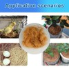 Long Coconut Husk Fiber Mulch Silk for Orchids Clean Coconut