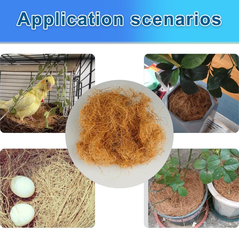 Long Coconut Husk Fiber Mulch Silk for Orchids Clean Coconut