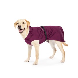 Goldpaw Rain Paw Dog Jacket - Waterproof Pet Coat for All-Weather Protection, Adjustable Fit, and Stylish Canine Outerwear - Beetroot, Size 26