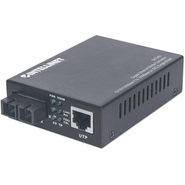 Int Gigabit Sm Media Converter-507349