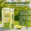 Electrolytes Hydration Tablets | 40 Effervescent Rehydration Tablets (Lemon) |