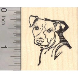 RubberHedgehog Pitbull Dog Portrait Rubber Stamp E19203 WM