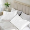 Satin Pillowcase, T Tersely 2 Pack 20"x 30" Silk Satin