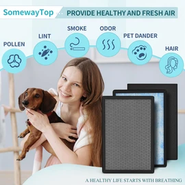 [2 SETS] 8L HEPA Replacement Filter Set Compatible with Okaysou Airmax 8L Air Purifier Filters, 3-Stage Airmax 8L Filter, H13 True HEAP and Blue Ultra-Filter Carbon Pre-filter Air Cleaner for Home
