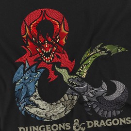 Dungeons & Dragons Dragons in Dragons Unisex Adult T-Shirt for Men and Women, Black, Large