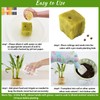 Legigo Legigo 1 Inch Rockwool Cubes Seed Starter Grow Cubes