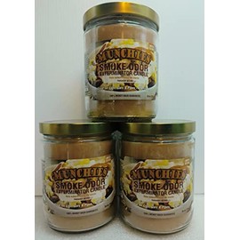 Smoke Odor Exterminator 13oz Jar Candle, Munchies Three Pack.