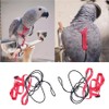 2pcs Adjustable Harness for Parrots Bird Harness Lead for Outdoor