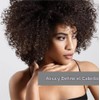 GIOVANNI COSMETICS - Eco Chic Direct Leave-In Conditioner- Weightless Moisture