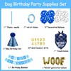Boxgear Dog Birthday Party Supplies, Dog Birthday Bandana Hat Banner