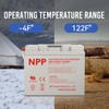NPP 12V 40Ah Deep Cycle Battery - T14 Terminals Rechargeable