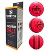 SPORTISH Senior Pink Incrediball Cricket Balls Pack of 3 Soft