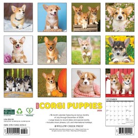 Just Corgi Puppies 2025 12" x 12" Wall Calendar
