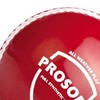 SG Prosoft Tennis Ball