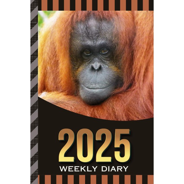 2025 Weekly Diary: Hardcover / 6x9 Dated Personal Organizer /