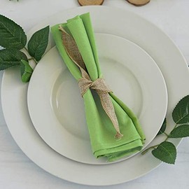 Weddings Venue Shop Polyester Linen Napkins- 20"x 20" | Apple Green | Pack of 5