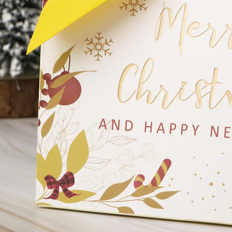 Pack of 12 Small Christmas Gift Bags with Silk Ribbons