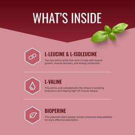 Approved Science BCAA Supplement - 60 Tablets - 2400mg - Increase Performance and Enhance Muscle Development - L-Leucine, L-Isoleucine, L-Valine - Made in USA, Non-GMO