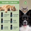 PURSONIC Pet Friendly Aromatherapy Essential Oils Collection, 6-Count