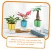 Kisangel Lazy Self Watering Flower Pots 3 Pack Round Glass-Like
