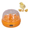 15W Egg Incubator 6 Eggs Digital Mini Fully Automatic Egg