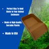 Hermit Crab Watering Pool | Platform Pool Accessory with Access