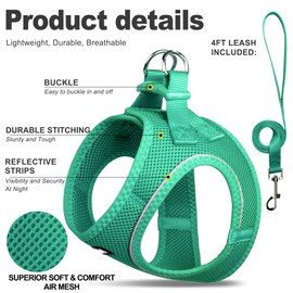 Fida Cat Harness and Leash Set for Walking Kitten and Puppy, Escape Proof Kitten Harness with Breathable Lightweight Soft Mesh, Adjustable Reflective Step-in Design. (XXS, Green)