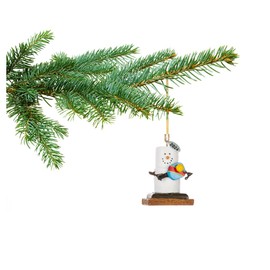 Smores Christmas Ornaments, Smores Pickleball Ornament, Cute Pickle Baller Sport Gifts for Men or Women Paddleball - with 2024 hangtag, Comes in Gift Box