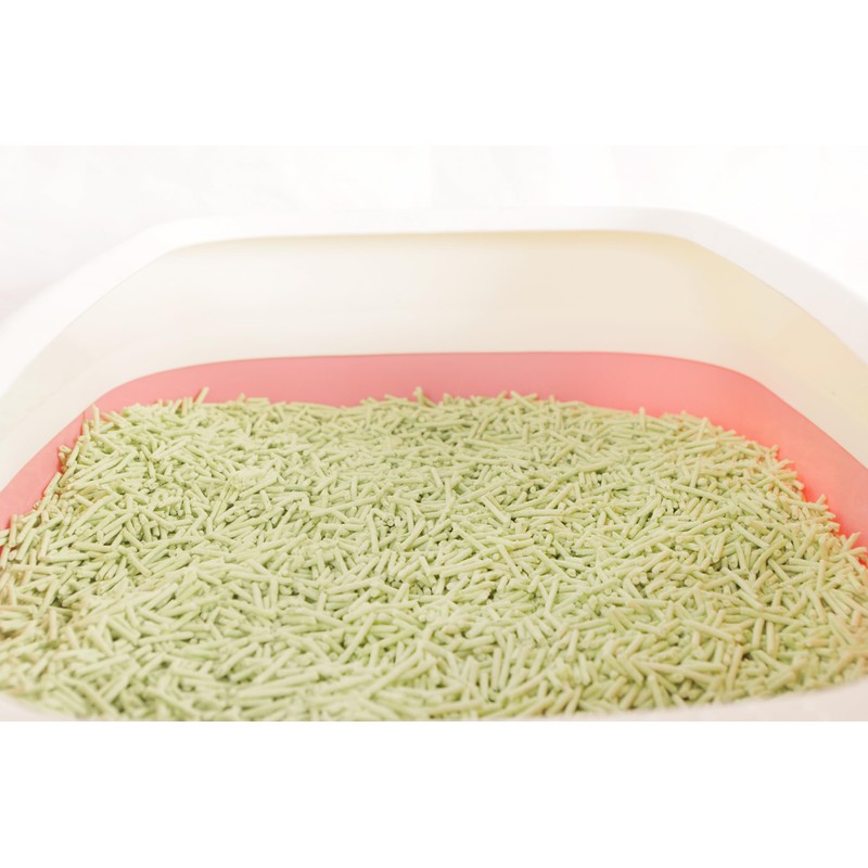 FOURPAW Tofu Cat Litter Green Tea 5.5 Lbs, Flushable Clumping