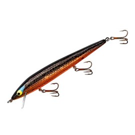 Smithwick Floating Rattlin'' Rogue Fishing Lure - Golden Rogue - 0-2 ft Cranking Depth