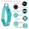 Petiry Reflective Nylon Dog Collar with Breathable Neoprene Padding,Adjustable for