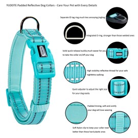 Petiry Reflective Nylon Dog Collar with Breathable Neoprene Padding,Adjustable for Medium Dogs.(Neck 13"-18.9",Teal)