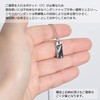 Alles SV925 Silver Cremation Pendant & 2 Stainless Steel Chains,